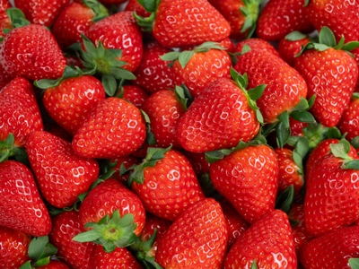 SOyqBTZh9pEVvR5OqHp6.jpg?w=940&h=940