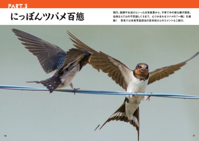 SP70Lzkruy4TDxJ9TN2Z.jpg?w=940&h=940