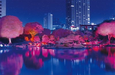 SPAJYR8vyeBnyhU7DNb6.jpg?w=940&h=940