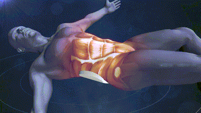 SPC1Sk8uTElAMs9b8pgx.gif?w=940&h=940