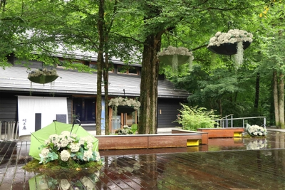 SRef0zTfMmZtxDjsxnSC.jpg?w=940&h=940