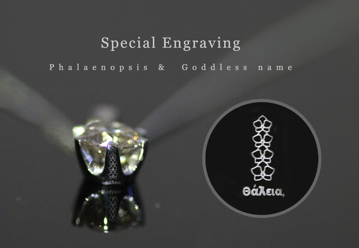 胡蝶蘭「再生」女神「希望」を刻印