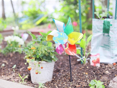 SSYJHACLue2PGd0Jj4rw.jpg?w=940&h=940