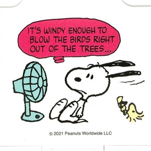 SSk2APGc29f87p1A2Bfp.jpg?w=940&h=940