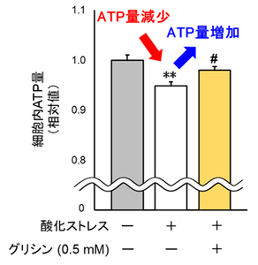 SSo8RMd1jMcVX9r6nqJr.png?w=940&h=940