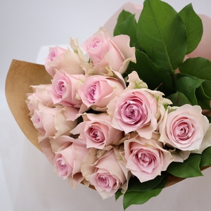 STJQ1lW1at4Gf2BJeLcy.jpg?w=940&h=940