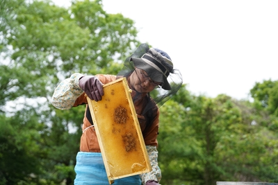 STK2brsr4paJSbzRbcw4.jpg?w=940&h=940