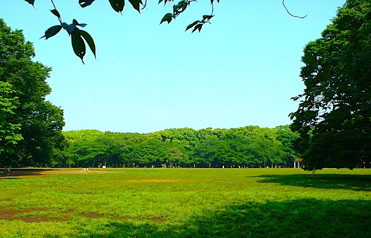 都立代々木公園