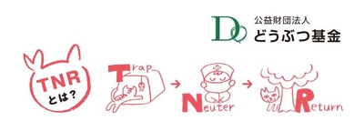 SUPjicLA03qMIbw6PxDd.jpg?w=940&h=940