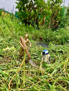 SUdasGxmdP3JeFlkjK9v.jpg?w=940&h=940