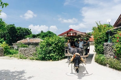 SVAS4X1YAowkAlpBFRKt.jpg?w=940&h=940