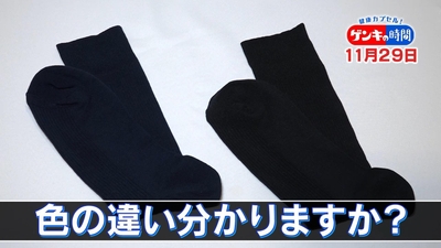 SWYyl9BFSHTCZZhMInfd.jpg?w=940&h=940