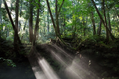 SXtFrFxRdm8YAqoS3D7H.jpg?w=940&h=940