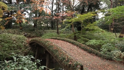 SY0gFnB12agoC2dkp4Vc.jpg?w=940&h=940