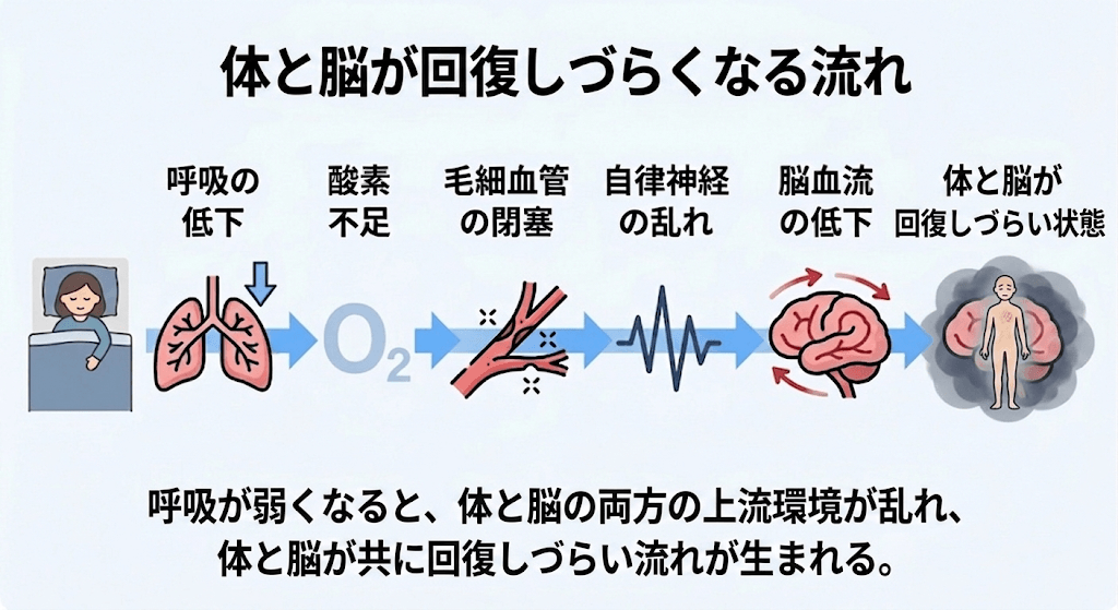 眠りづらさの正体──寝ても疲れが取れない理由｜シリーズ第12回　体と脳の劣化を防ぐ"改善線"