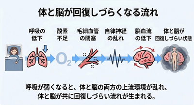 SYWqJWTIBrQ2Cp0DC4aS.png?w=940&h=940
