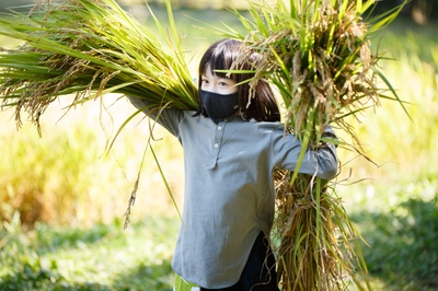 SYfrZ3T4lxi5ehsFFesp.jpeg?w=940&h=940