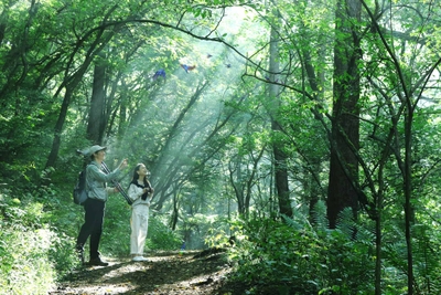 SYoTpbD85Gk0JLoJT1Xx.jpg?w=940&h=940