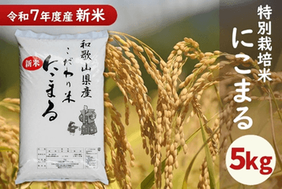 SZdtSQRYo6Kz2yNRXsmP.png?w=940&h=940