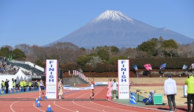 SZgk8nCEHyf3Re21taOm.jpg?w=940&h=940