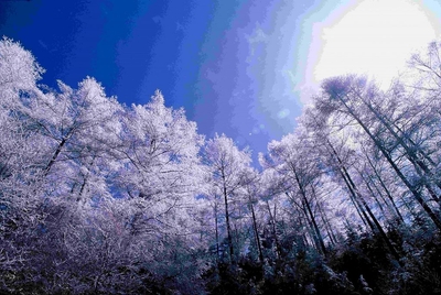 SaruSLnYVjR0IVbgn3f1.jpg?w=940&h=940