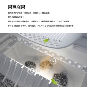 Sb0PPT0iI1b7BGHKL6dR.jpg?w=940&h=940