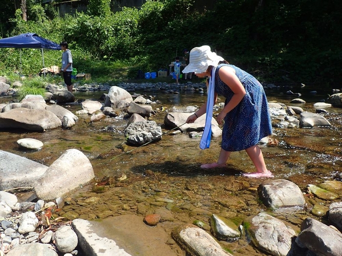 石の陰に隠れた魚を狙います