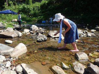 石の陰に隠れた魚を狙います