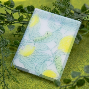 SbVCptOOFLTF5ql1ORKx.jpg?w=940&h=940