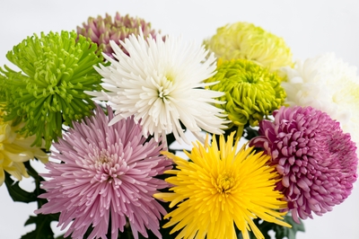 Sbtjy78hXYn0bqdIJF6E.jpg?w=940&h=940