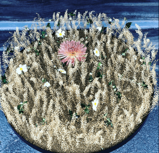 SeObxljuYziFbyWujxie.png?w=940&h=940