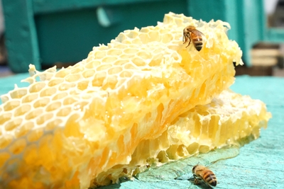 SeQRawyy4wqinT3ECFU4.JPG?w=940&h=940