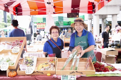 SehxeOp2rZHrzq6d9FFo.jpg?w=940&h=940