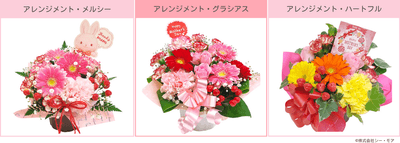 Sf4ajBtwe6Xs5e6rtTmI.png?w=940&h=940