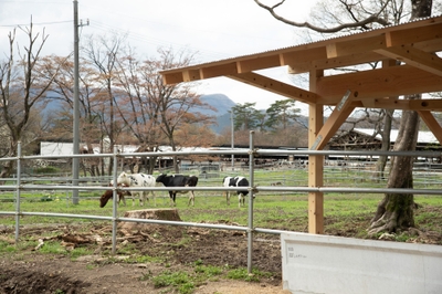 SfVhBPZlT81b7dtYVqpk.jpg?w=940&h=940