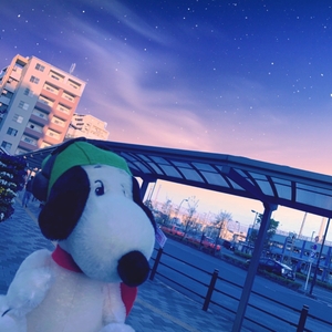 SgD0AFC8dmBf2Zne4mYu.jpg?w=940&h=940