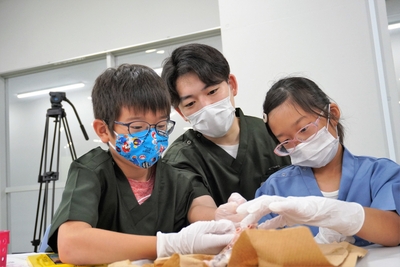 SgKAOm0c6O71NJUp0vyb.jpg?w=940&h=940