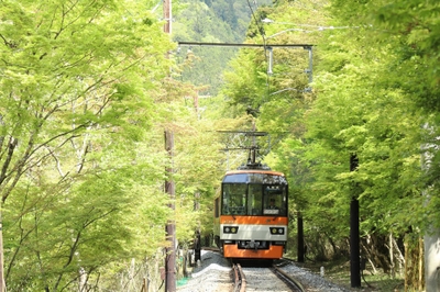 市原駅～二ノ瀬駅間「青もみじのトンネル」