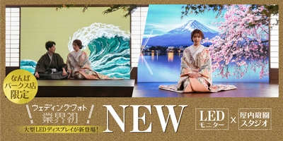 ShJjgahb1vp7etg6oxSa.jpg?w=940&h=940