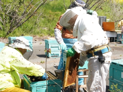 SiqsVPqU0fedj8fPFP9w.JPG?w=940&h=940