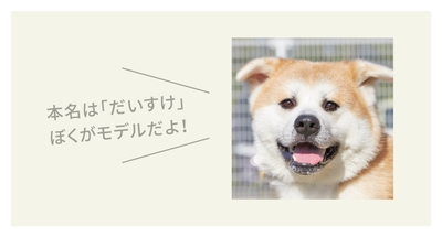 Siy0j3ujBOEJT0JbINrP.jpg?w=940&h=940