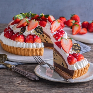 Sk7bzotbzTM89Oy5tyxd.jpg?w=940&h=940