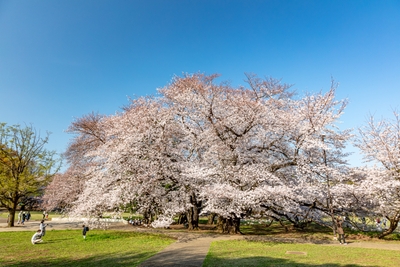 Skm8rUSzA9ig3lLKGFMw.jpg?w=940&h=940