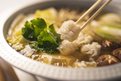 Skvxoe5fSn9kl8jTG7XO.jpg?w=940&h=940