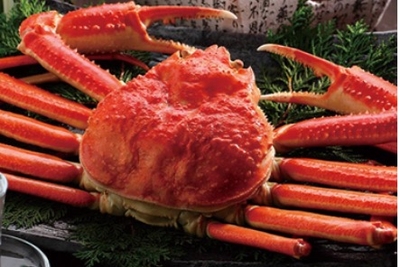 SnFVpNpm1vBE0cMj239l.jpg?w=940&h=940