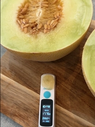 メロンの品種別の糖度を分析したランキングページを公開！ 産地直送・お取り寄せ通販サイトのトドクヨにて アールスメロンの販売を開始