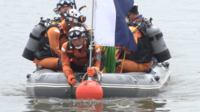 Soylh02SmmEnHhHduH2F.png?w=940&h=940