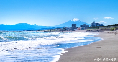 SpGxIWSW5cmdFUKFwtOn.jpg?w=940&h=940