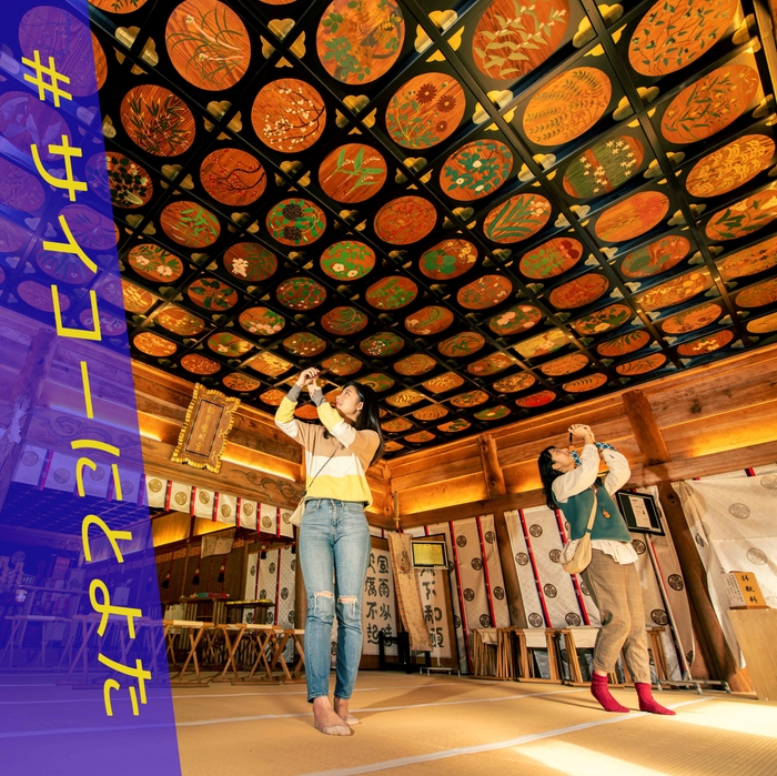 #サイコーにとよた(松平東照宮天井画)