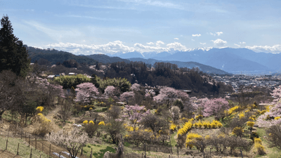 SqUkad4OrQLmPE8Cdarh.png?w=940&h=940